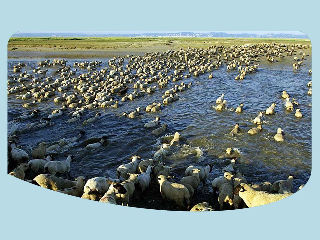 مبيت وإفطار Pendé La Ferme Du Parc المظهر الخارجي الصورة